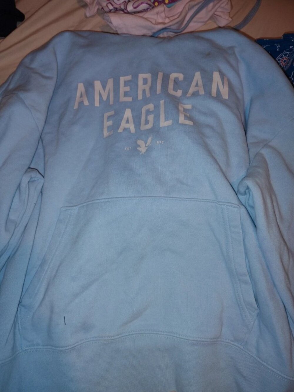 American Eagle hoodie
